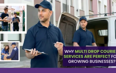 Why Multi Drop Courier Services Are Perfect for Growing Businesses?